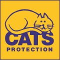 Cats Protection Warrington