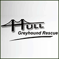 Hull Greyhound Rescue